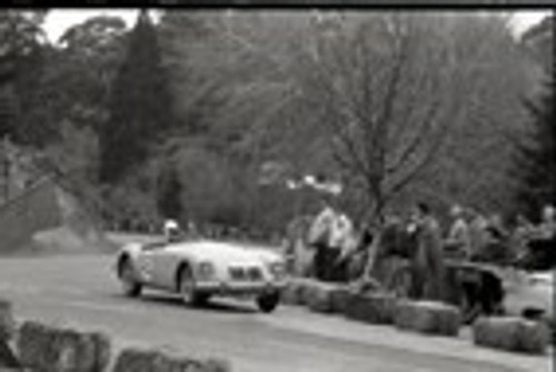 Hepburn Springs Hill Climb 1959 - Photographer Peter D'Abbs - Code 599125