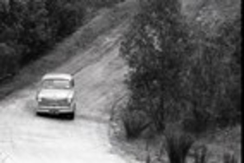 Templestowe HillClimb 1959 - Photographer Peter D'Abbs - Code 599354