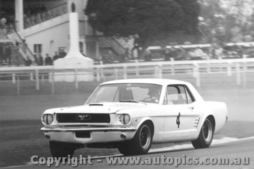 67028 - P. Fahey Ford Mustang - Warwick Farm 1967