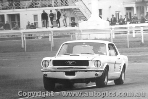 67029 - P. Fahey Ford Mustang - Warwick Farm 1967