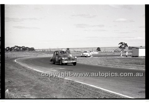 Calder 1965 - Photographer Peter D'Abbs - Code 65-PD-C-631