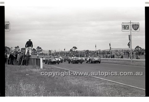 Calder 1965 - Photographer Peter D'Abbs - Code 65-PD-C-648