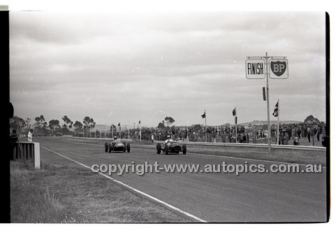 Calder 1965 - Photographer Peter D'Abbs - Code 65-PD-C-651