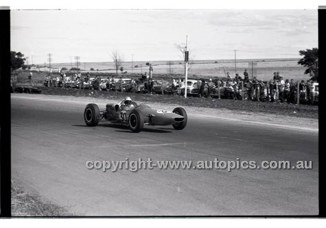 Calder 1965 - Photographer Peter D'Abbs - Code 65-PD-C-732