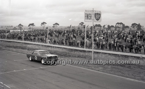 Calder 1965 - Photographer Peter D'Abbs - Code 65-PD-C24165-018