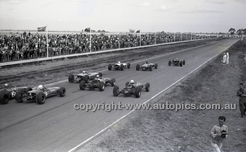 Calder 1965 - Photographer Peter D'Abbs - Code 65-PD-C24165-025