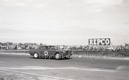 Calder 1965 - Photographer Peter D'Abbs - Code 65-PD-C24165-037