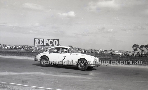 Calder 1965 - Photographer Peter D'Abbs - Code 65-PD-C24165-049