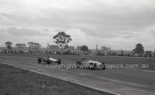 Calder 1965 - Photographer Peter D'Abbs - Code 65-PD-C29865-039