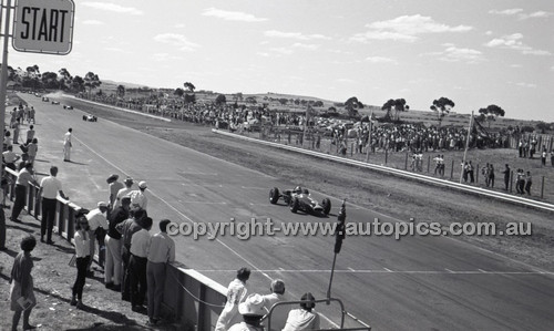 Calder 1965 - Photographer Peter D'Abbs - Code 65-PD-C29865-044