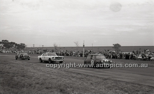 Calder 1965 - Photographer Peter D'Abbs - Code 65-PD-C29865-050