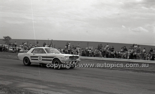 Calder 1965 - Photographer Peter D'Abbs - Code 65-PD-C29865-051