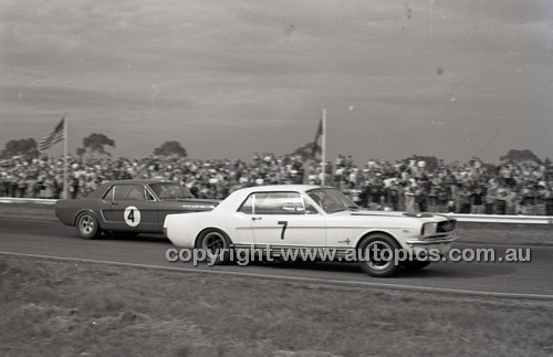 Calder 1965 - Photographer Peter D'Abbs - Code 65-PD-C29865-054