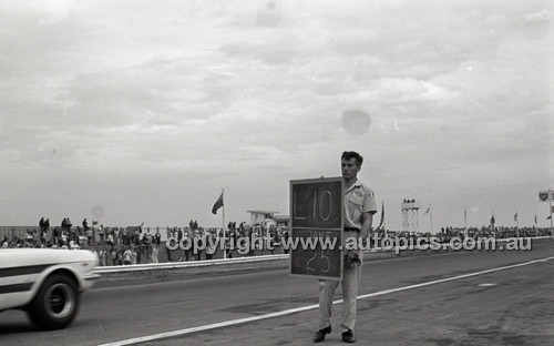 Calder 1965 - Photographer Peter D'Abbs - Code 65-PD-C29865-057
