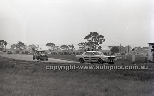 Calder 1965 - Photographer Peter D'Abbs - Code 65-PD-C29865-077