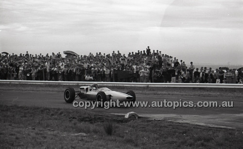 Calder 1965 - Photographer Peter D'Abbs - Code 65-PD-C29865-081