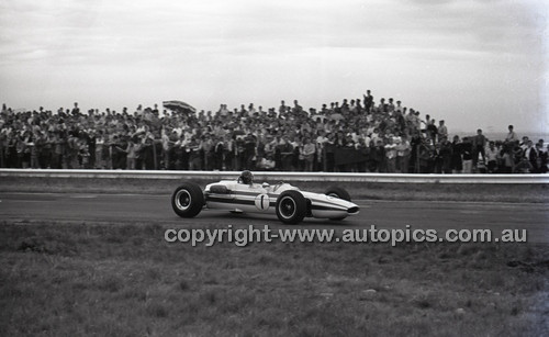 Calder 1965 - Photographer Peter D'Abbs - Code 65-PD-C29865-083