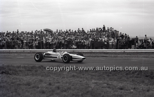 Calder 1965 - Photographer Peter D'Abbs - Code 65-PD-C29865-084