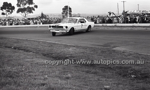 Calder 1965 - Photographer Peter D'Abbs - Code 65-PD-C29865-092