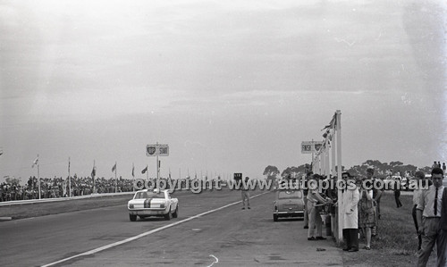 Calder 1965 - Photographer Peter D'Abbs - Code 65-PD-C29865-095