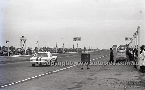 Calder 1965 - Photographer Peter D'Abbs - Code 65-PD-C29865-096