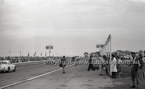 Calder 1965 - Photographer Peter D'Abbs - Code 65-PD-C29865-097