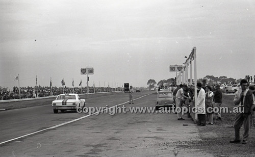Calder 1965 - Photographer Peter D'Abbs - Code 65-PD-C29865-098