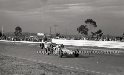 Calder 1965 - Photographer Peter D'Abbs - Code 65-PD-C29865-103
