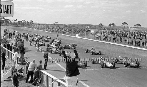 Calder 1966 - Photographer Peter D'Abbs - Code 66-PD-C-001