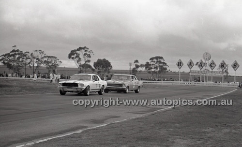 Calder 1966 - Photographer Peter D'Abbs - Code 66-PD-C-125