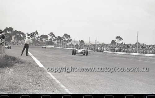 Calder 1966 - Photographer Peter D'Abbs - Code 66-PD-C-16166-029