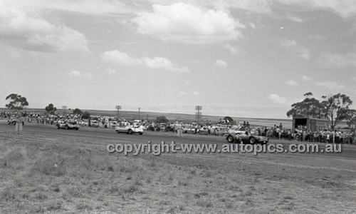 Calder 1966 - Photographer Peter D'Abbs - Code 66-PD-C-16166-047