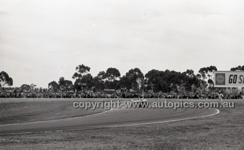 Calder 1966 - Photographer Peter D'Abbs - Code 66-PD-C-16166-1-015