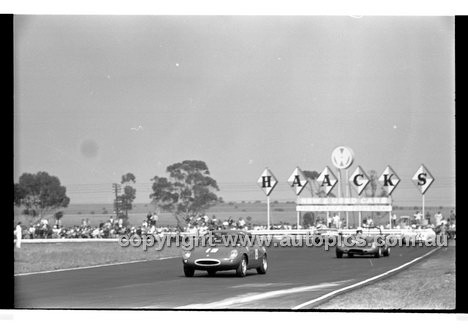 Calder 1969 - Photographer Peter D'Abbs - Code 69-PD-C19169-051