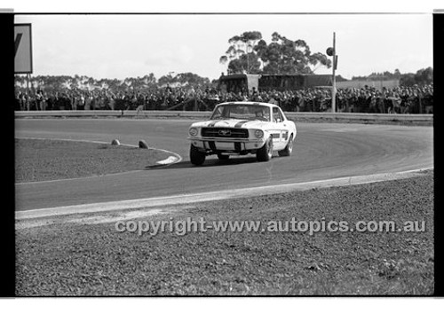 Calder 1969 - Photographer Peter D'Abbs - Code 69-PD-C19169-180