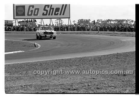 Calder 1969 - Photographer Peter D'Abbs - Code 69-PD-C19169-194