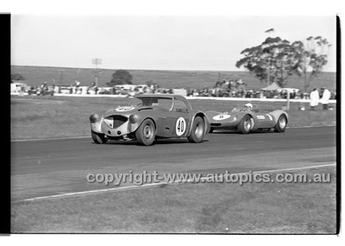 Calder 1969 - Photographer Peter D'Abbs - Code 69-PD-C23369-011