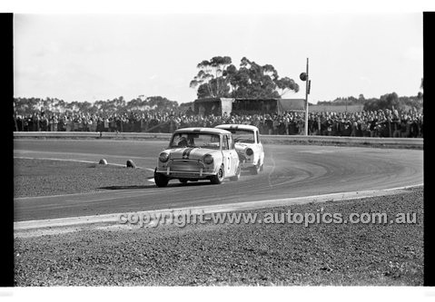 Calder 1969 - Photographer Peter D'Abbs - Code 69-PD-C23369-025