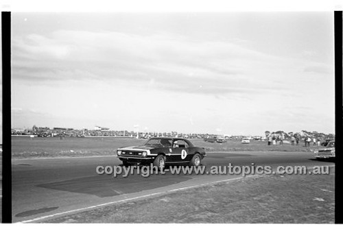 Calder 1969 - Photographer Peter D'Abbs - Code 69-PD-C23369-043