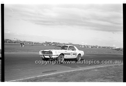 Calder 1969 - Photographer Peter D'Abbs - Code 69-PD-C23369-044