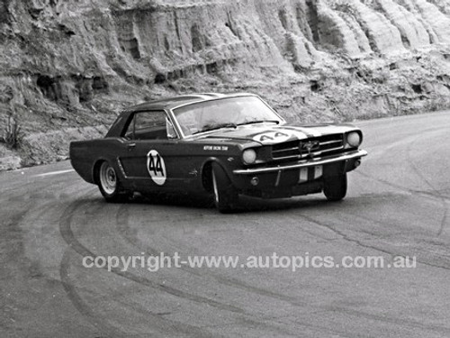 65126 - Norm Beechey, Ford Mustang - Catalina Park Katoomba 1965- Photographer Lance J Ruting