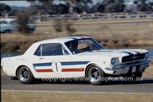 66210 - Pete Geoghegan, Total Mustang - Warwick Farm 1966 - Photographer Lance J Ruting