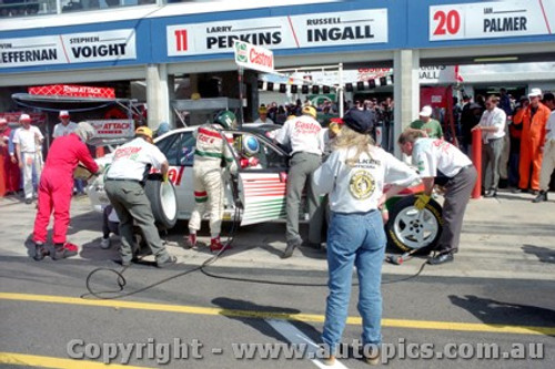 95725  -  L. Perkins / R. Ingall  -  Bathurst 1995 - 1st Outright - Holden Commodore VR