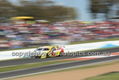 Supercheap Auto 1000 - 2008 V8 Supercar Championship - Code - 08-MC-B08-559