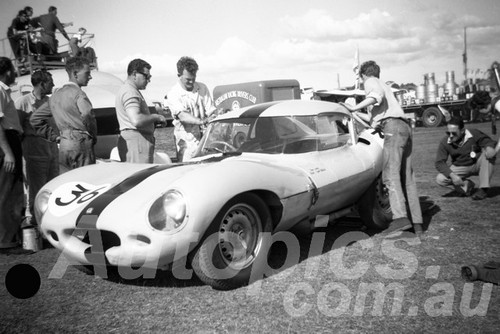 61066 - Frank Matich, D Type Jaguar - Warwick Farm 1961 - Paul Manton Collection