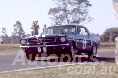 65309 - Norm Beechey, Mustang - Warwick Farm 1965 - Peter Wilson Collection
