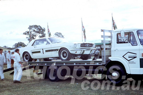 67127 -  Ian (Pete) Geoghegan, Mustang & Transporter -  Warwick Farm 1967 - Peter Wilson Collection