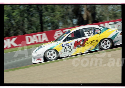 Bathurst FIA 1000 15th November 1999 - Photographer Marshall Cass - Code 99-MC-B99-198