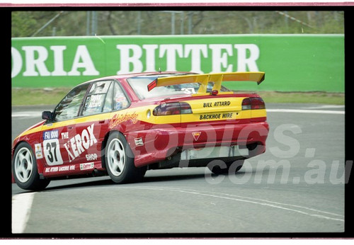 Bathurst FIA 1000 15th November 1999 - Photographer Marshall Cass - Code 99-MC-B99-221