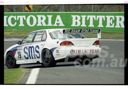 Bathurst FIA 1000 15th November 1999 - Photographer Marshall Cass - Code 99-MC-B99-230